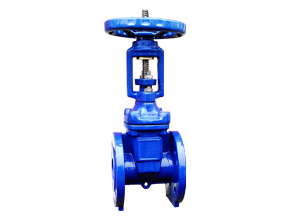 Soft Seal flange gate valve